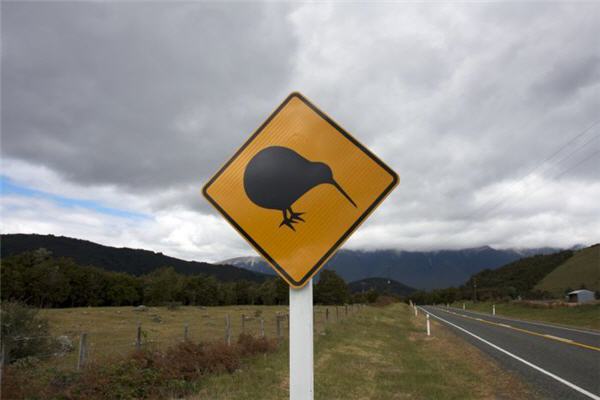 Kiwi crossing in New Zealand, 2007 (Flickr: Eric Carlson)